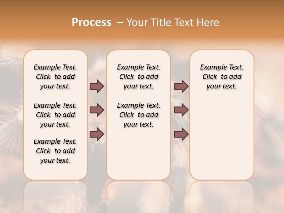 Hairy Predator Arachnida PowerPoint Template