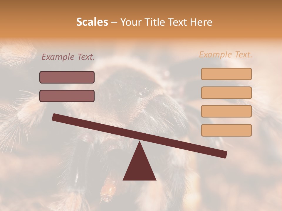 Hairy Predator Arachnida PowerPoint Template