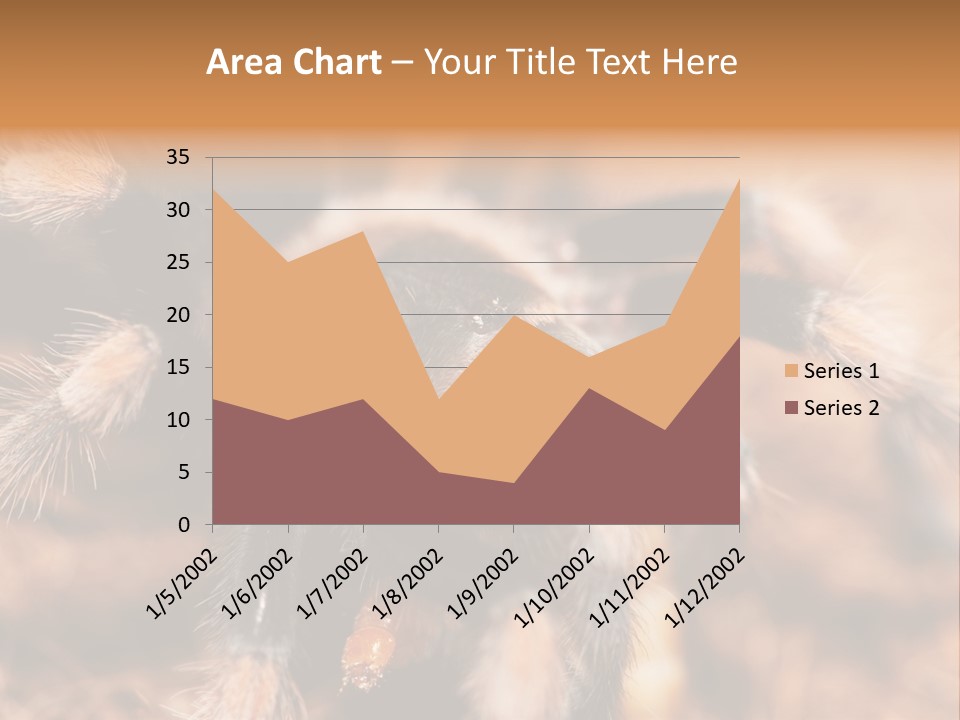 Hairy Predator Arachnida PowerPoint Template