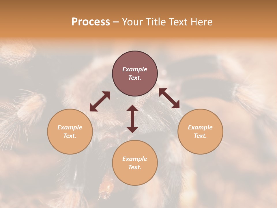 Hairy Predator Arachnida PowerPoint Template