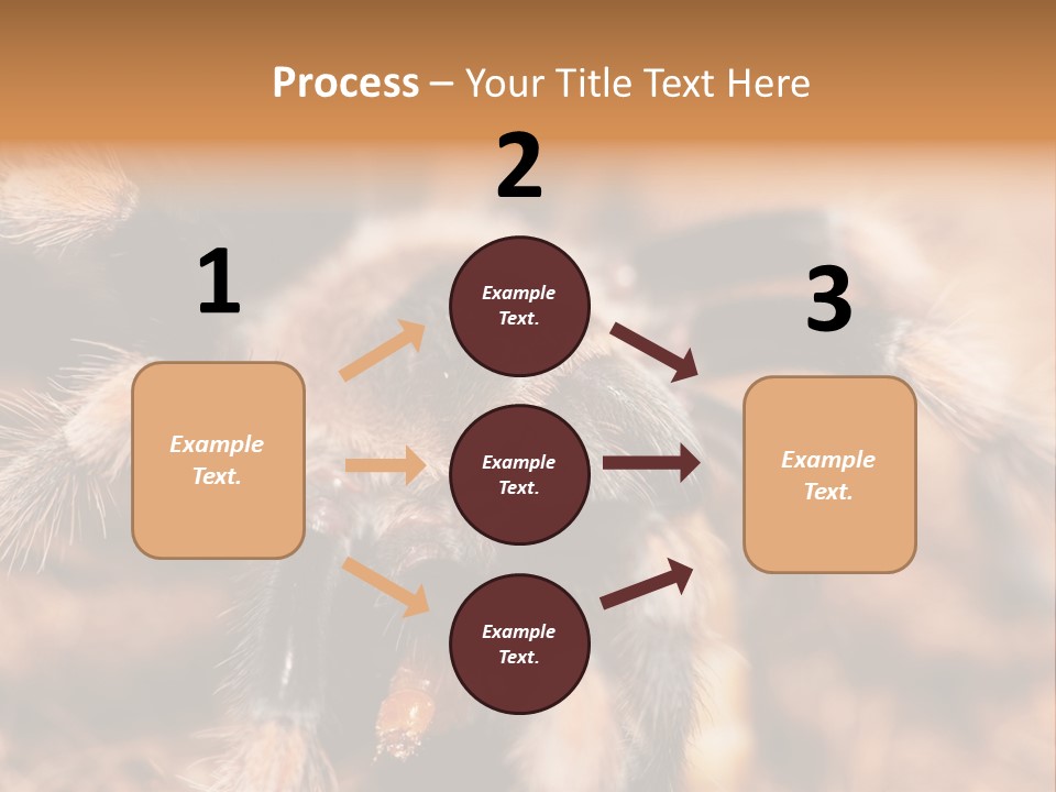 Hairy Predator Arachnida PowerPoint Template