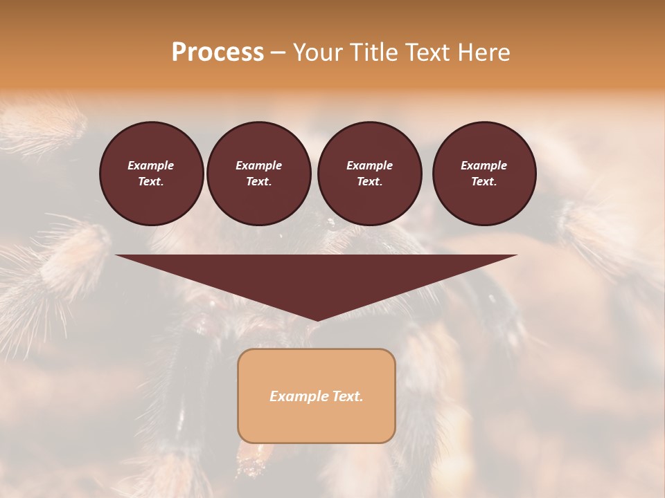 Hairy Predator Arachnida PowerPoint Template