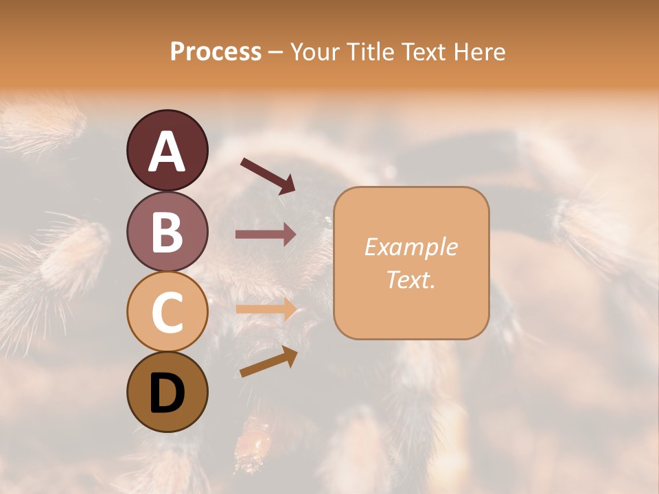 Hairy Predator Arachnida PowerPoint Template