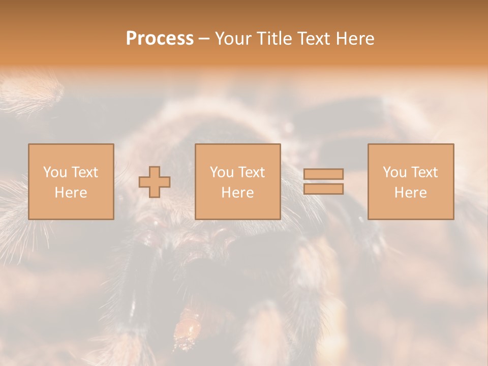Hairy Predator Arachnida PowerPoint Template