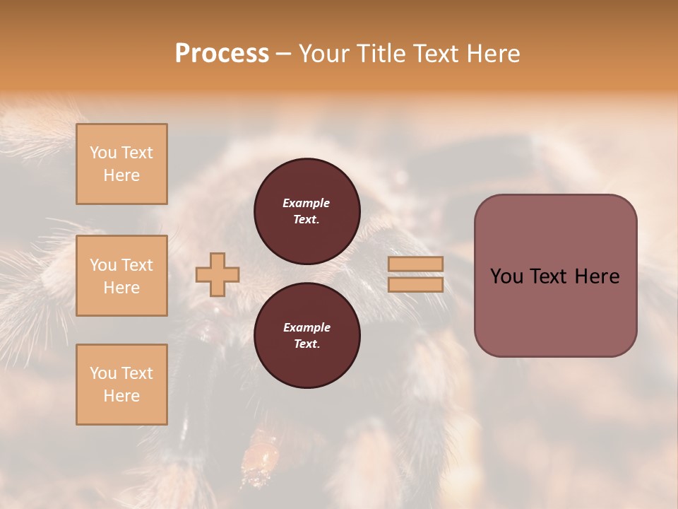 Hairy Predator Arachnida PowerPoint Template