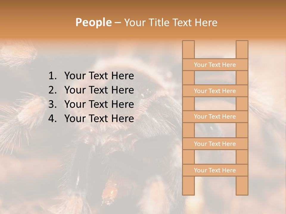 Hairy Predator Arachnida PowerPoint Template