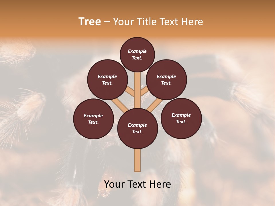 Hairy Predator Arachnida PowerPoint Template