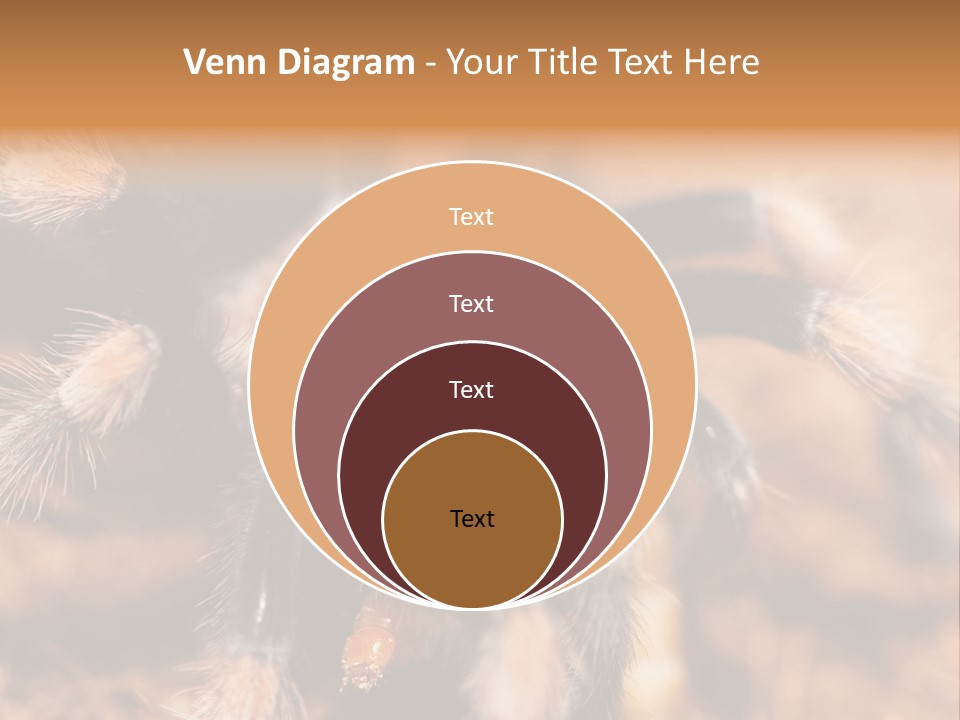 Hairy Predator Arachnida PowerPoint Template