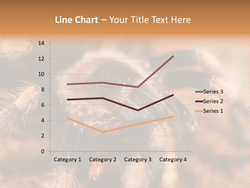Hairy Predator Arachnida PowerPoint Template