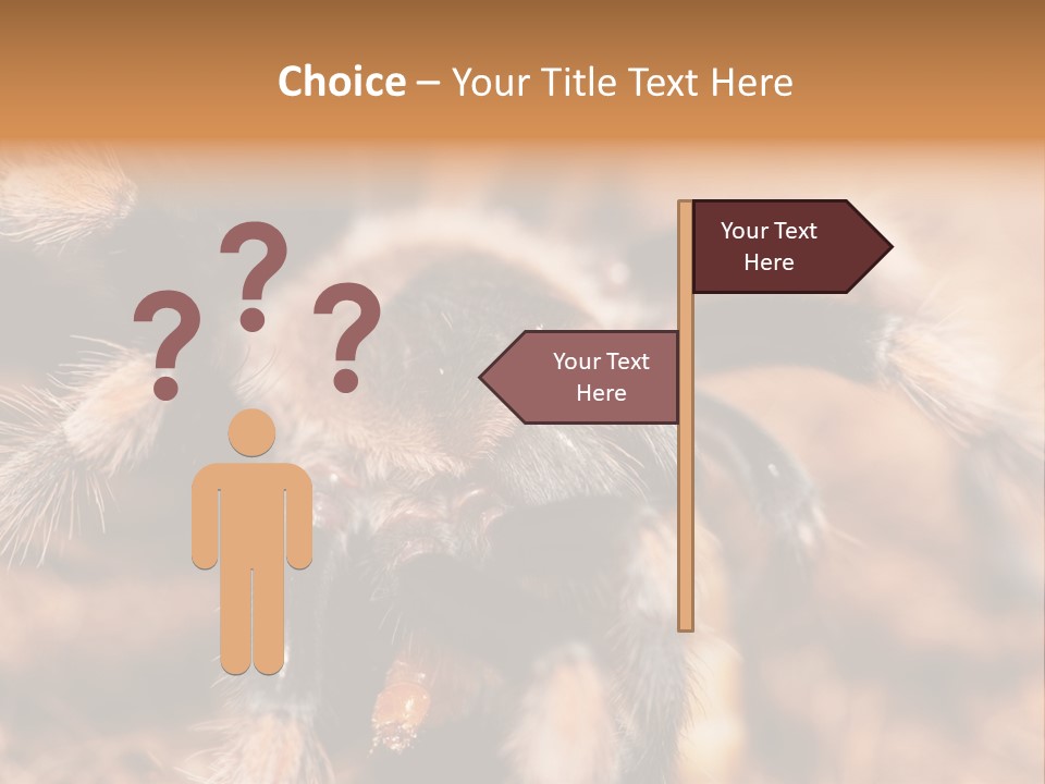 Hairy Predator Arachnida PowerPoint Template