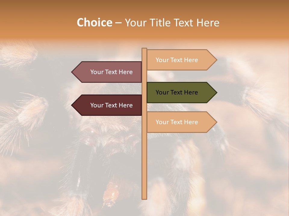 Hairy Predator Arachnida PowerPoint Template