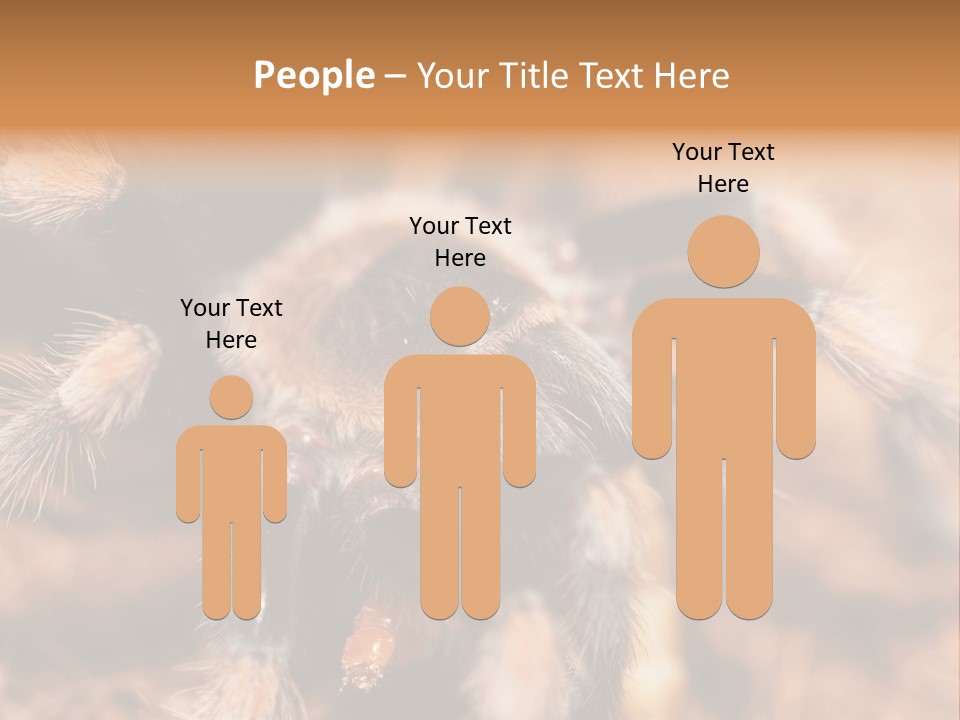 Hairy Predator Arachnida PowerPoint Template
