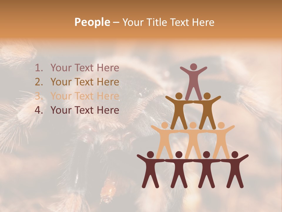 Hairy Predator Arachnida PowerPoint Template