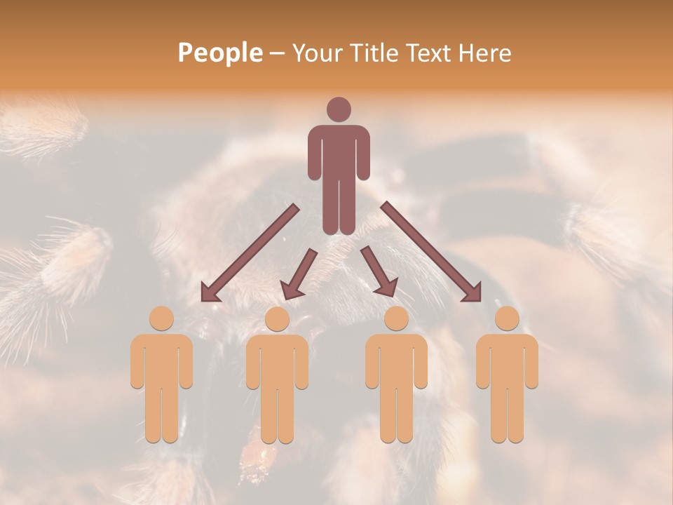 Hairy Predator Arachnida PowerPoint Template