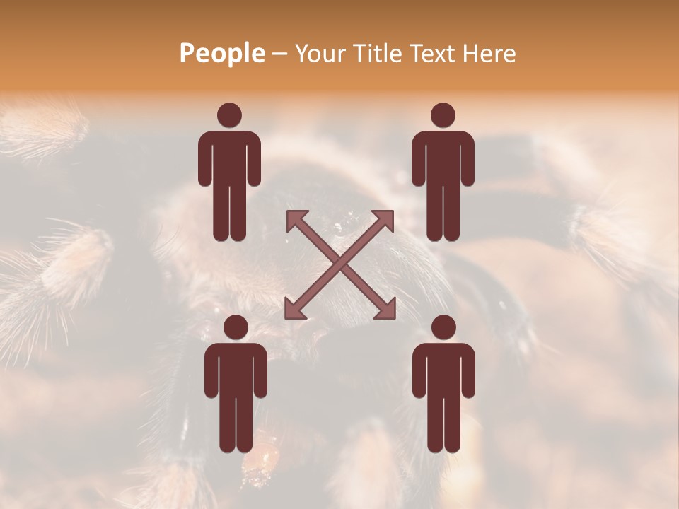 Hairy Predator Arachnida PowerPoint Template