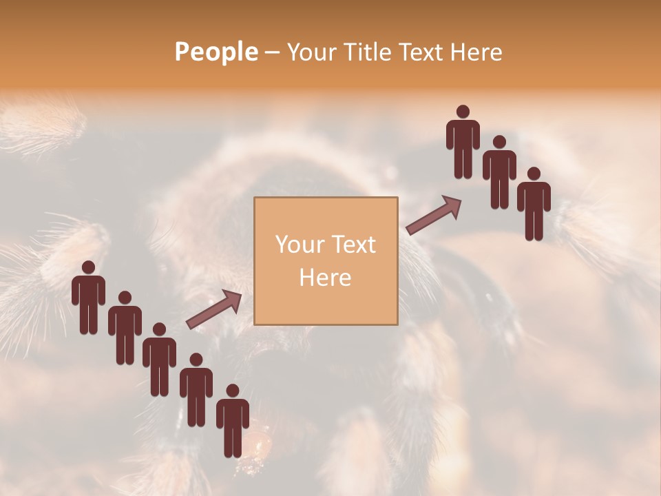 Hairy Predator Arachnida PowerPoint Template