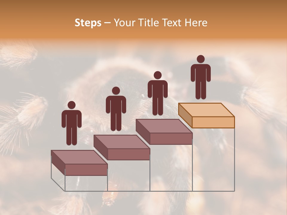 Hairy Predator Arachnida PowerPoint Template