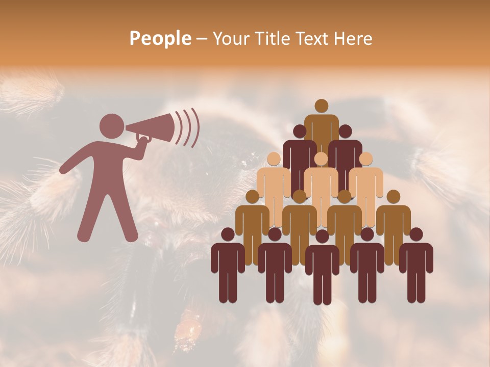 Hairy Predator Arachnida PowerPoint Template