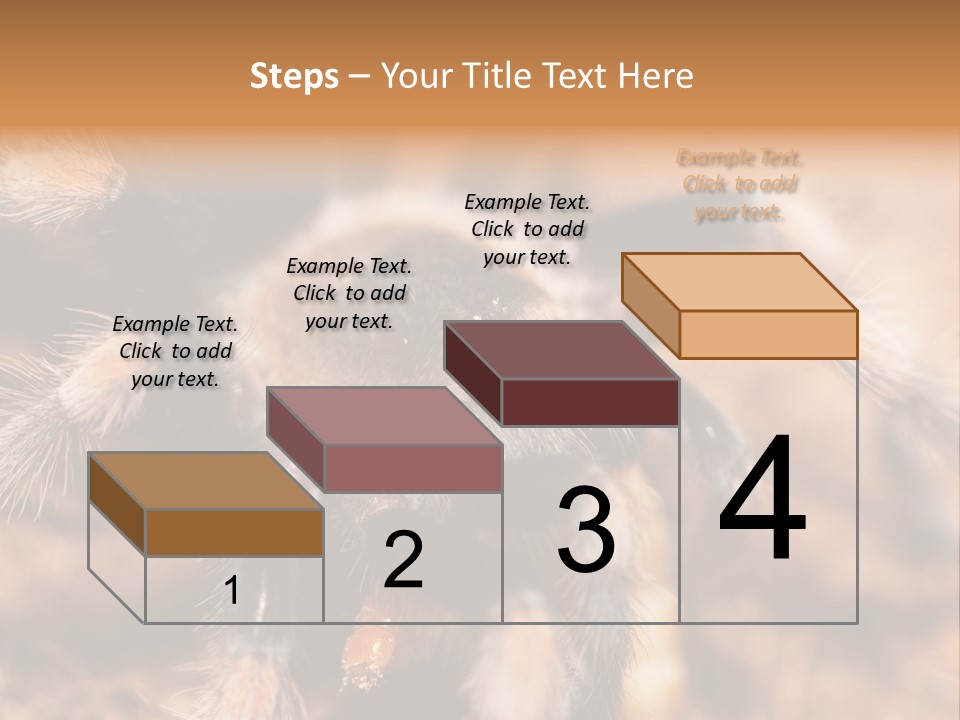 Hairy Predator Arachnida PowerPoint Template