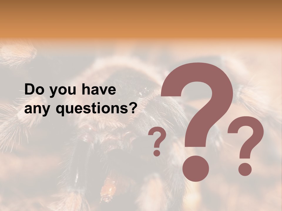 Hairy Predator Arachnida PowerPoint Template