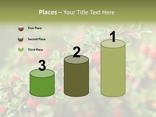 Slope Strathcona Woods PowerPoint Template