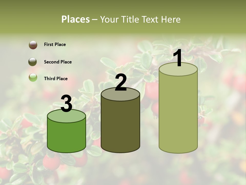 Slope Strathcona Woods PowerPoint Template