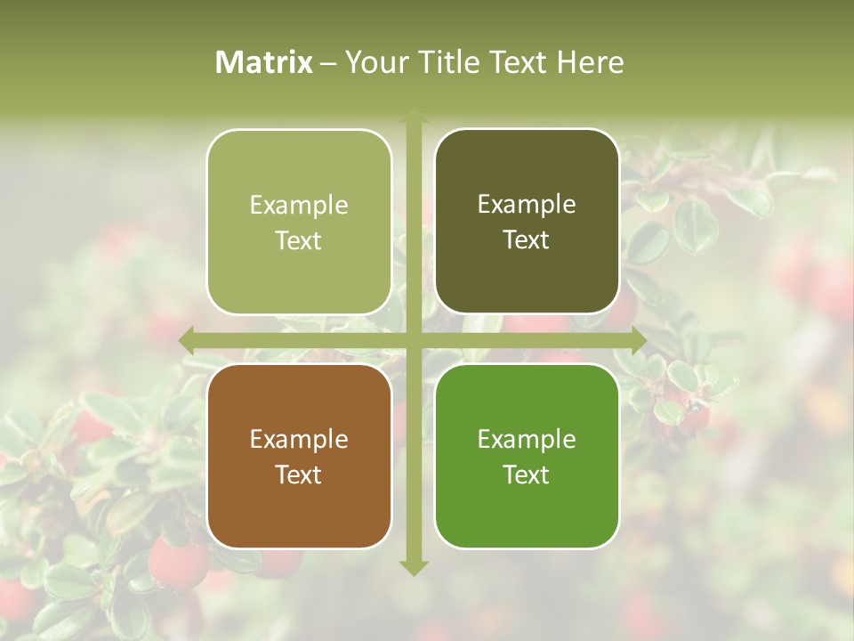 Slope Strathcona Woods PowerPoint Template