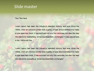Slope Strathcona Woods PowerPoint Template