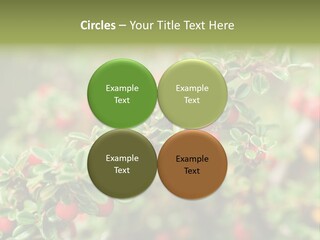 Slope Strathcona Woods PowerPoint Template