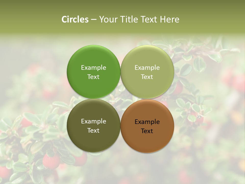 Slope Strathcona Woods PowerPoint Template