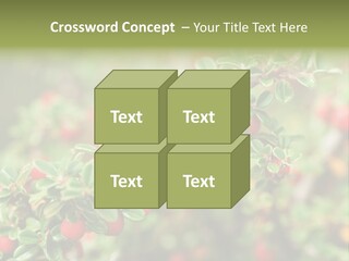 Slope Strathcona Woods PowerPoint Template