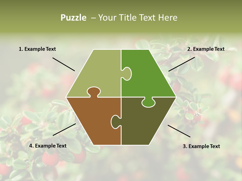 Slope Strathcona Woods PowerPoint Template