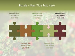 Slope Strathcona Woods PowerPoint Template