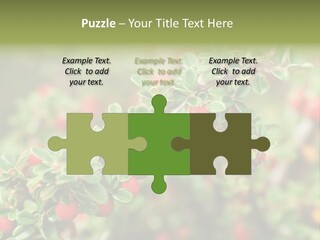 Slope Strathcona Woods PowerPoint Template