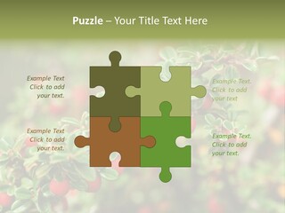 Slope Strathcona Woods PowerPoint Template