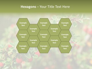 Slope Strathcona Woods PowerPoint Template