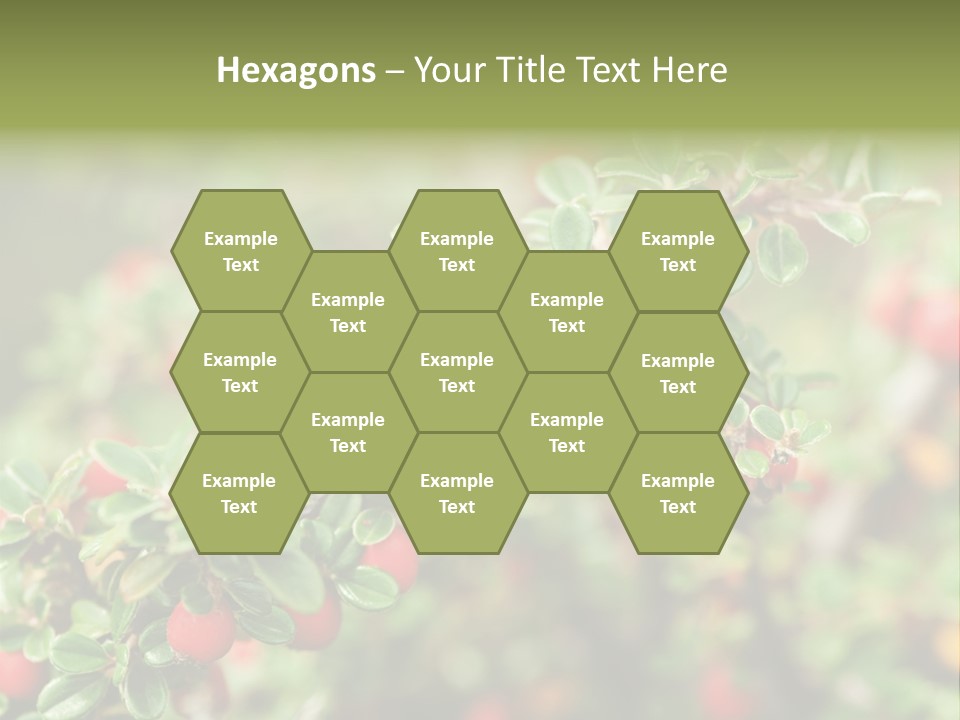 Slope Strathcona Woods PowerPoint Template