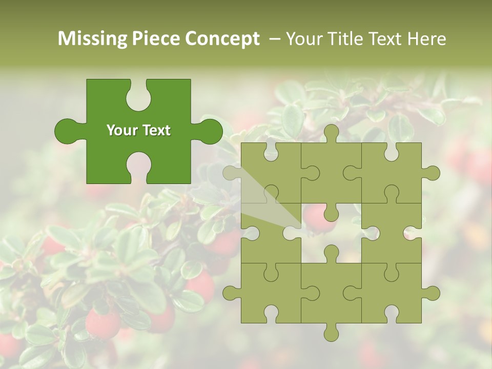 Slope Strathcona Woods PowerPoint Template