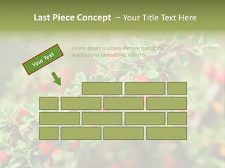 Slope Strathcona Woods PowerPoint Template