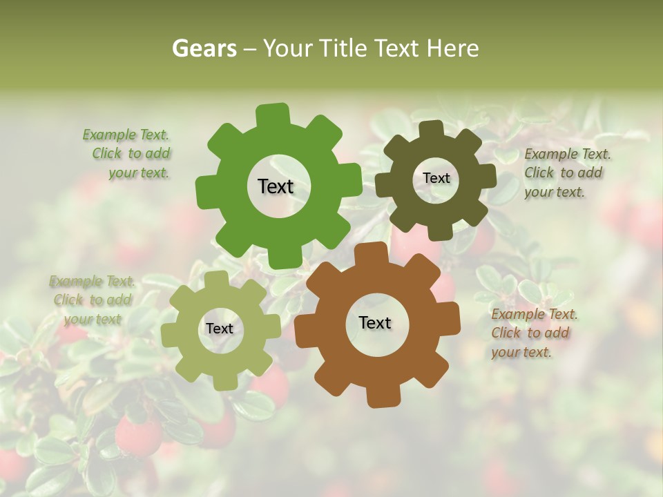 Slope Strathcona Woods PowerPoint Template