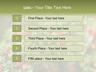Slope Strathcona Woods PowerPoint Template