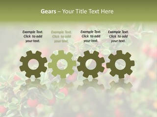 Slope Strathcona Woods PowerPoint Template