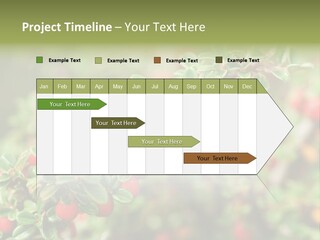 Slope Strathcona Woods PowerPoint Template