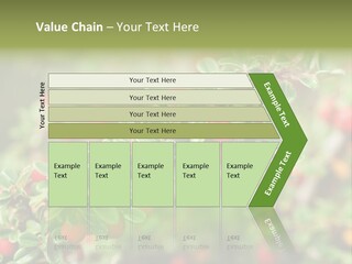 Slope Strathcona Woods PowerPoint Template