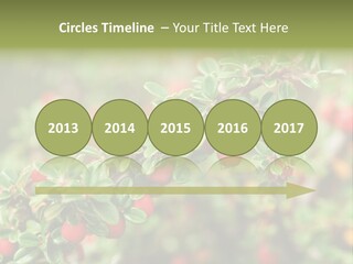 Slope Strathcona Woods PowerPoint Template