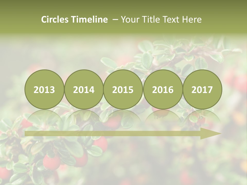 Slope Strathcona Woods PowerPoint Template