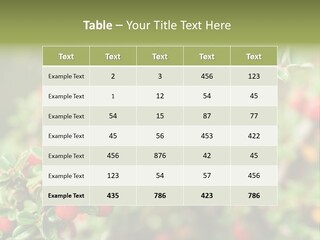 Slope Strathcona Woods PowerPoint Template