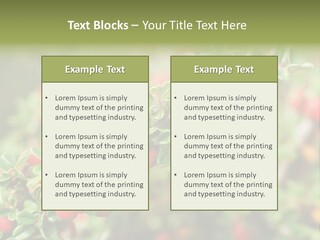 Slope Strathcona Woods PowerPoint Template