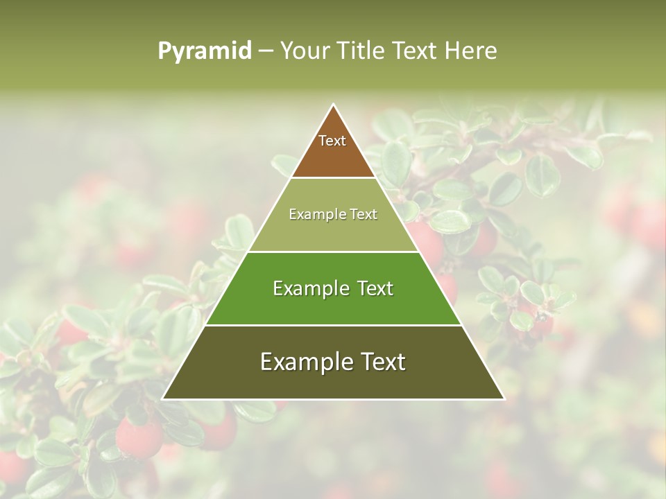 Slope Strathcona Woods PowerPoint Template