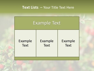 Slope Strathcona Woods PowerPoint Template